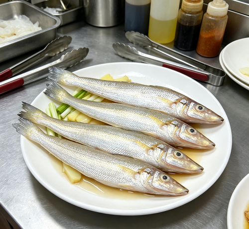 Fresh Sardines
